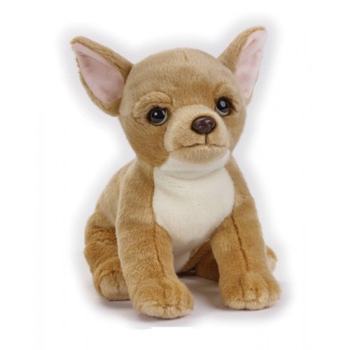 CHIWAWA NGS