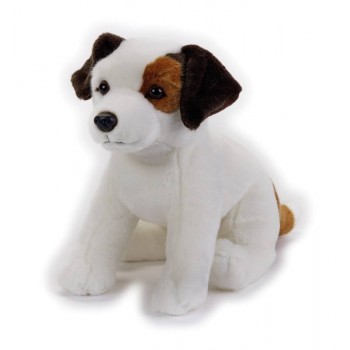 JACK RUSSEL NGS
