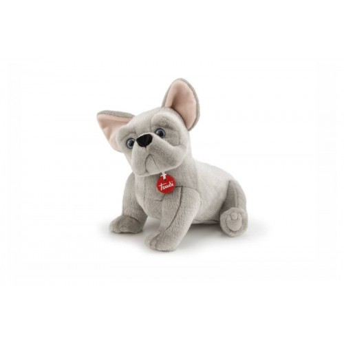 Bulldog francese Bernard M
