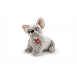Bulldog francese Bernard M