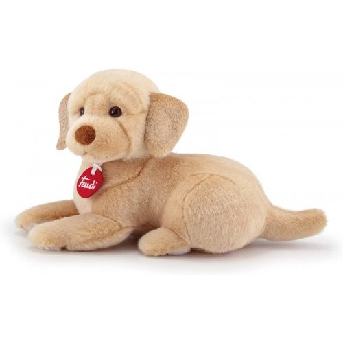 Trudi Labrador Liam Seduto
