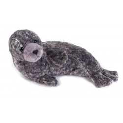 FOCA MONACA NGS