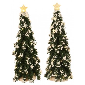 confezione 2 pezzi abete...