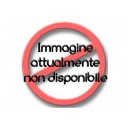 PISTOLA.PROFESSIONALE B-POWER   41020