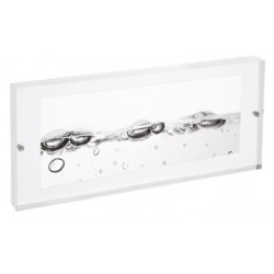 Mascagni M215 Trasparente Cornice per foto singola