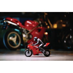 Spin Master Ducati Panigale