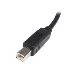 StarTech.com Cavo USB 2.0 per stampante tipo A / B ad alta velocità M/M - 2m