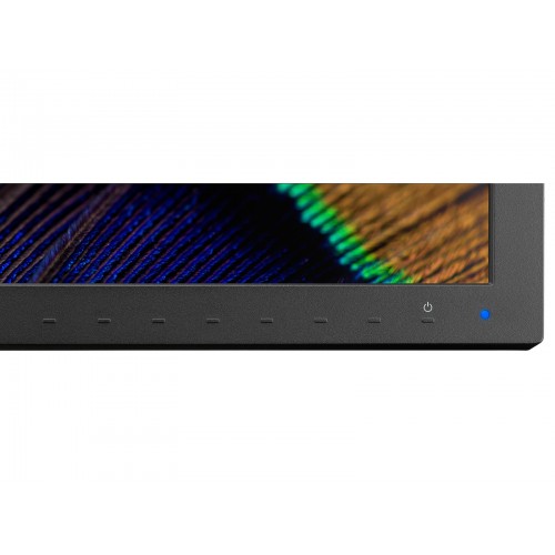 NEC MultiSync PA311D 78,7 cm (31") 4096 x 2160...