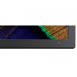 NEC MultiSync PA311D 78,7 cm (31") 4096 x 2160 Pixel 4K Ultra HD IPS Nero