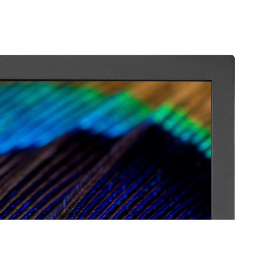 NEC MultiSync PA311D 78,7 cm (31") 4096 x 2160...