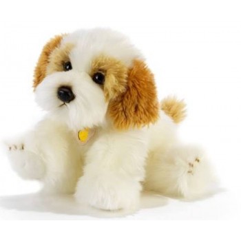 KING CHARLY CANE CAVACHON 30CM