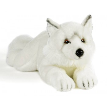 ISAFJORD VOLPE ARTICA