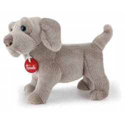 Weimaraner Wolfgang S