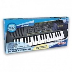 Tastiera digitale 37 tasti passo medio (FA-DO), 100 suoni, 100 ritmi, 10 canzoni preregistrate. Demo One, Demo All. Custodia e