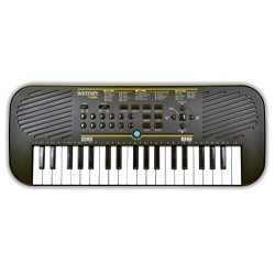 Tastiera digitale 37 tasti passo medio (FA-DO), 100 suoni, 100 ritmi, 10 canzoni preregistrate. Demo One, Demo All. Custodia e