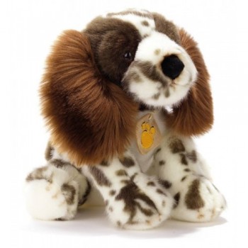 ODDO SPRINGER SPANIEL 23 CM.