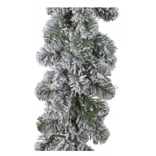 RAMO IMP.INNEV.270X25 680468